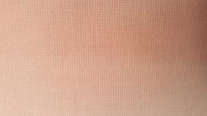 Flannel-Pink-Micro.jpg